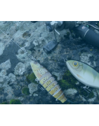 Fils INOX pour la pêche